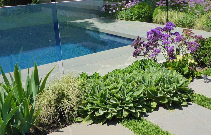 Interview Series: Renata Fairhall Garden Designs