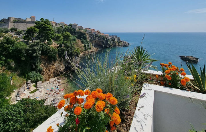 Plants and Pots Suitable for Windy Balconies