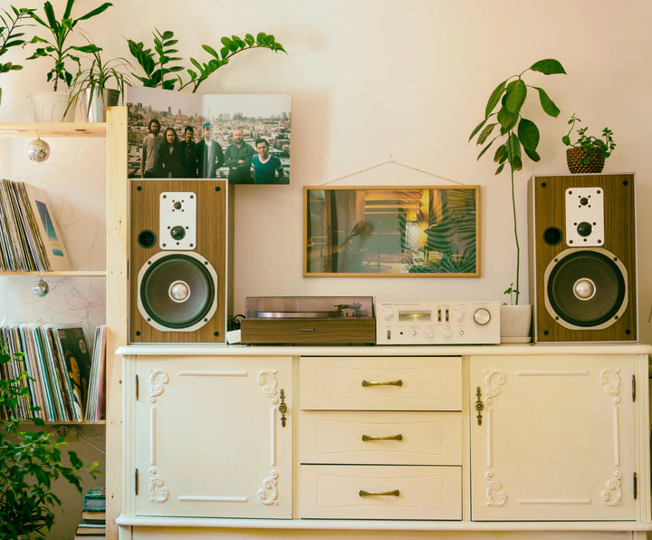 Journey Through The Decades With These Iconic Houseplants