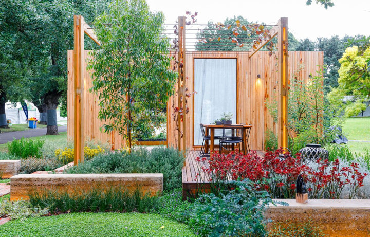 Platylobium - Melbourne International Flower and Garden Show