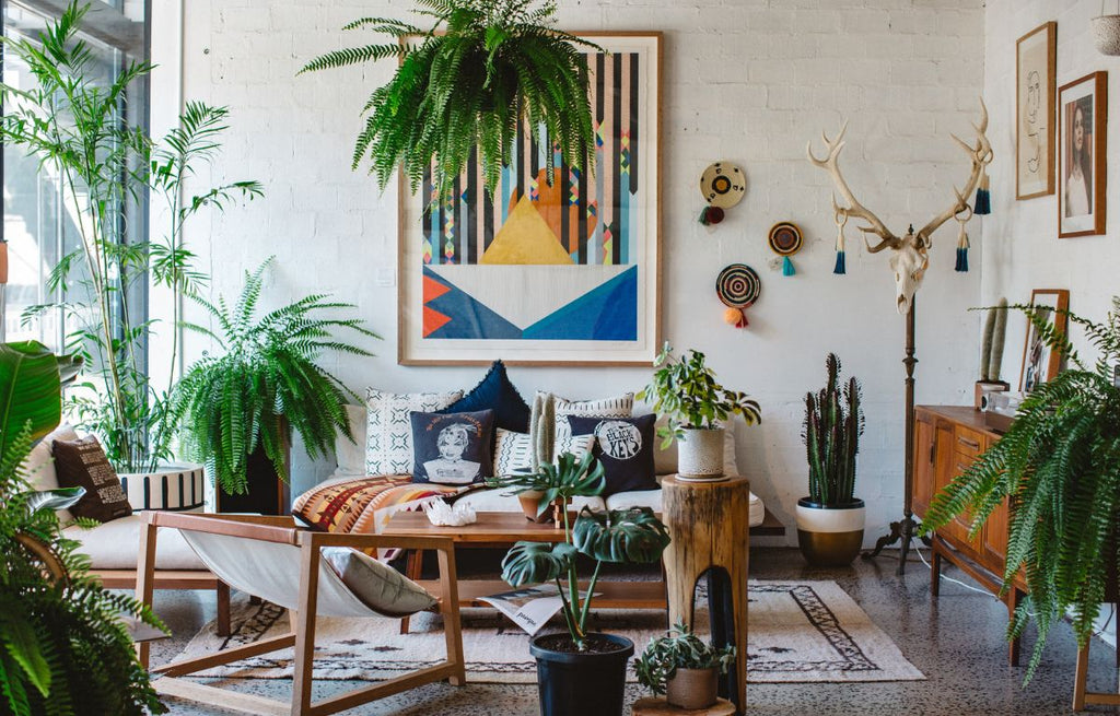 The Evolution of Indoor Plant Culture