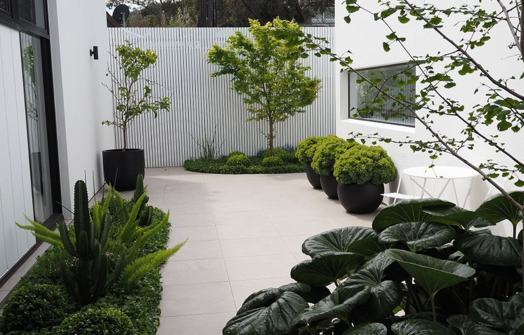 Garden Tour | Lee Gray Landscape Design – The Balcony Garden