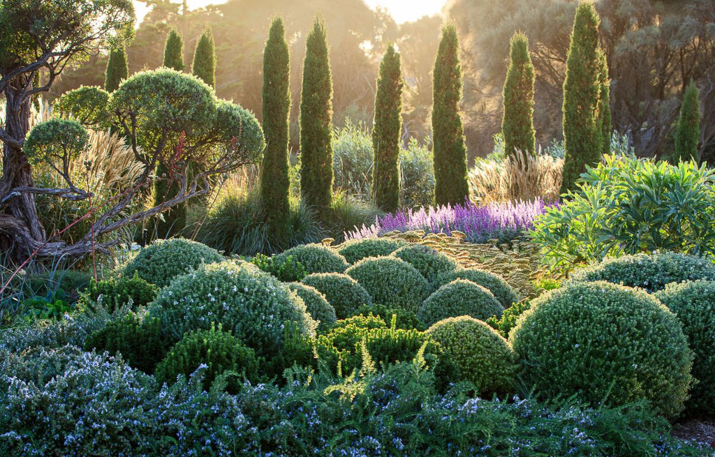 Garden Tour: Jane Jones Landscapes