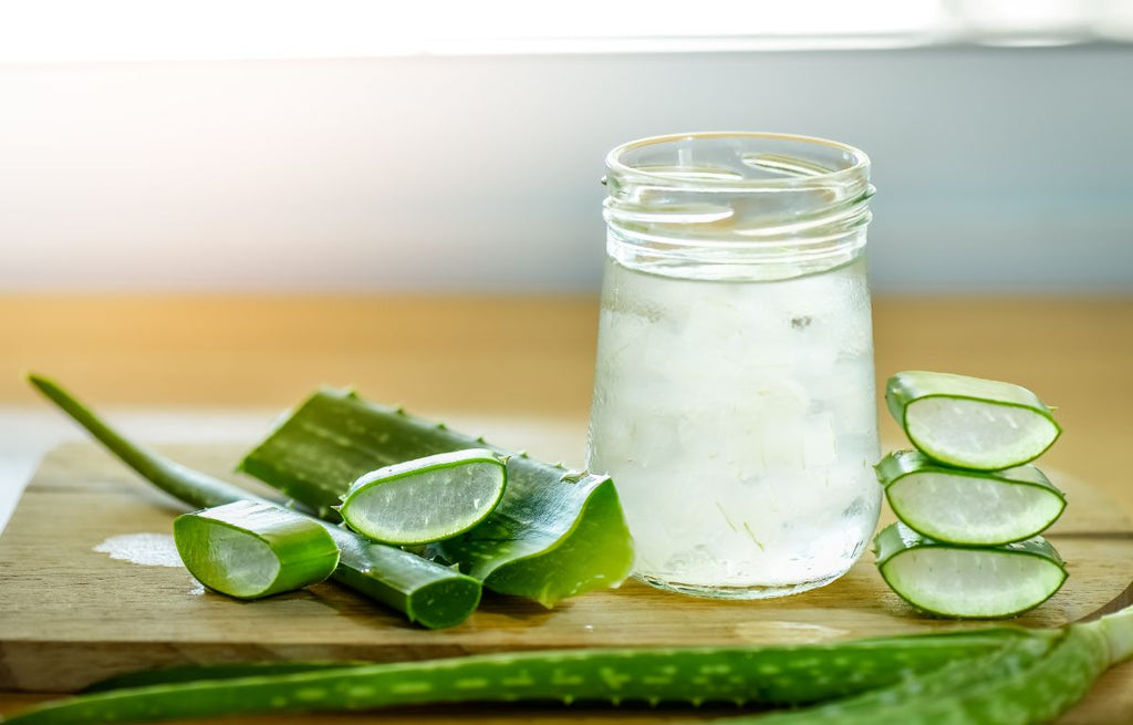 Cut Aloe Vera Stem with Gel