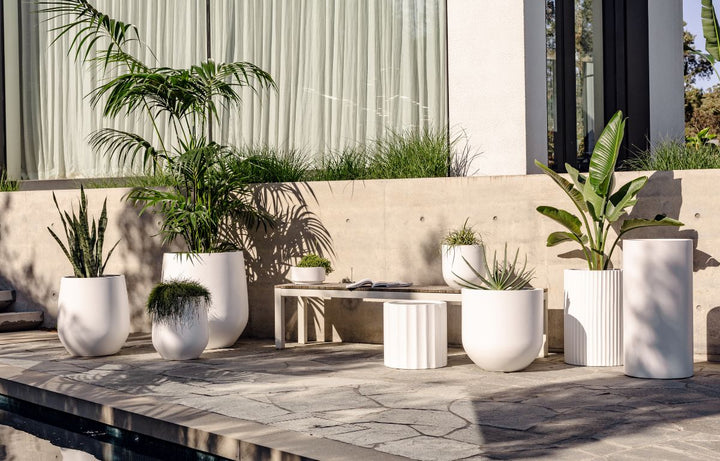 An Expert’s Guide to Styling Your Home or Balcony with Plants