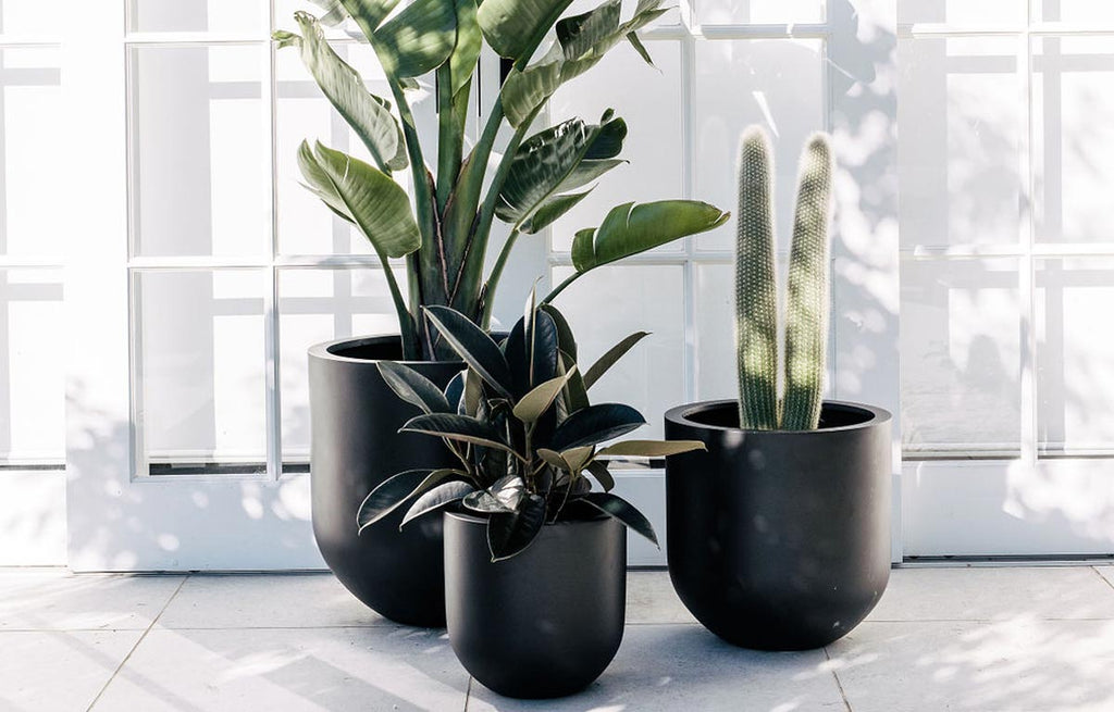 Styling Ideas for Charcoal Coloured Pots