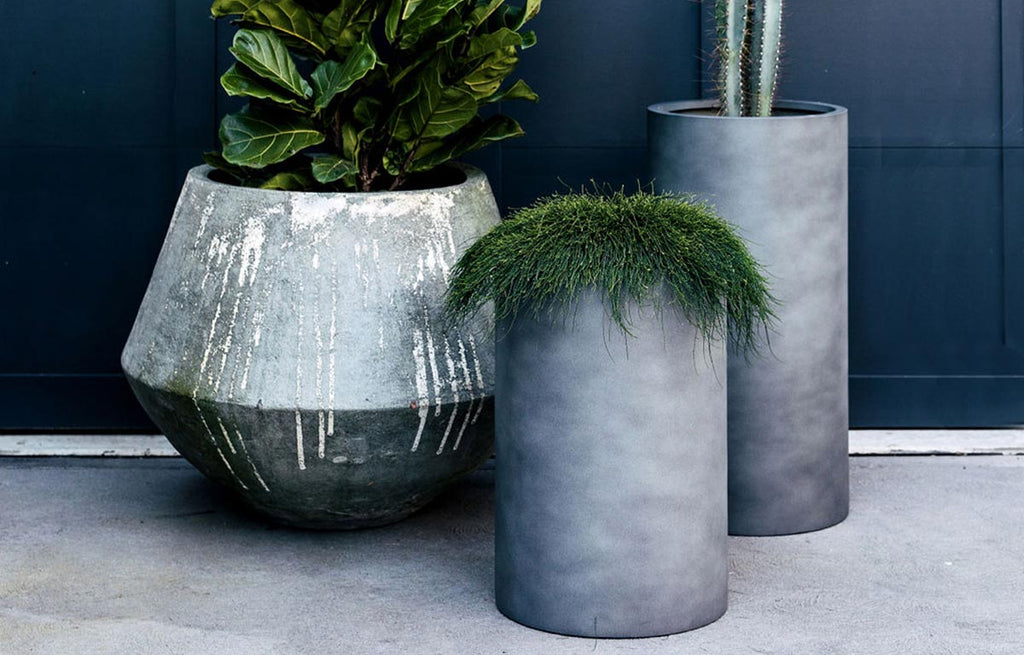 Our Top 5 Most Instagrammable Pot Clusters