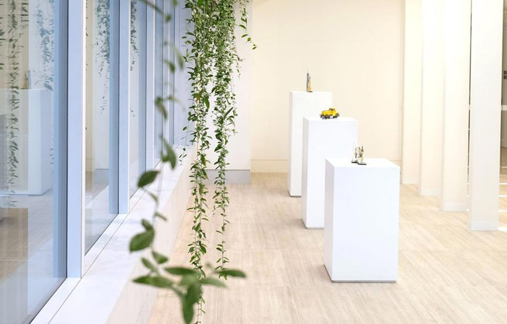 Interior Landscaping Creating a Positive Impact in the Workplace with Fresh Prince
