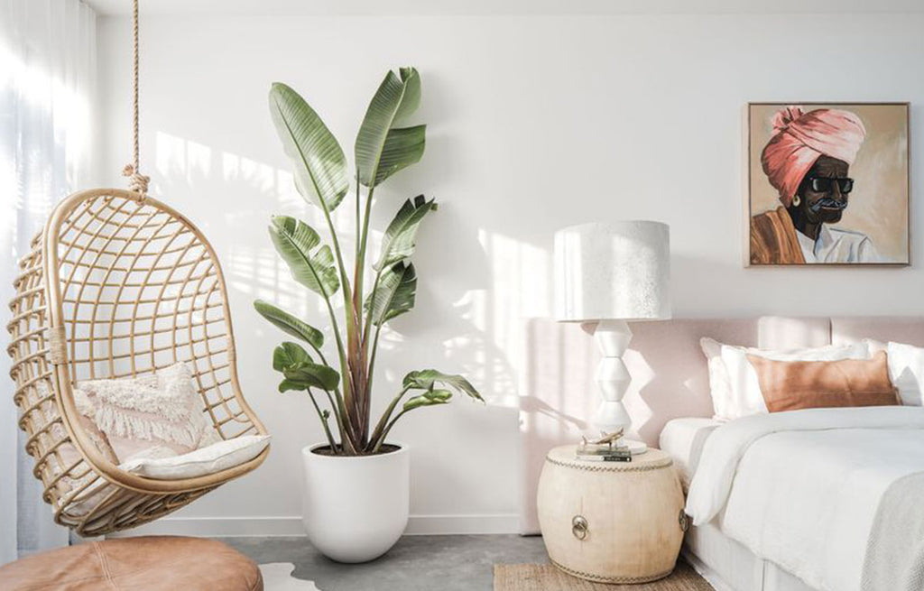 5 Lush and Leafy Plants to Junglefy Your Space