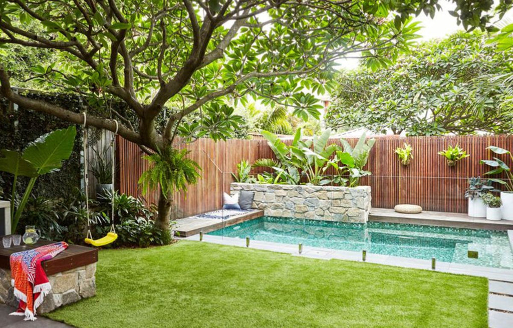 Shady Plants for your Pool Area