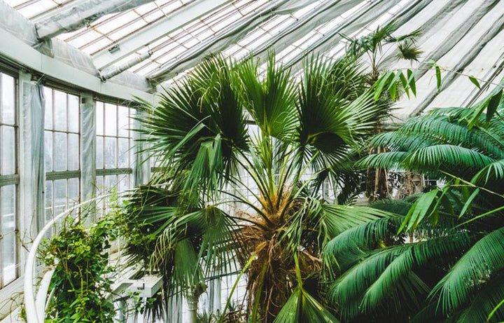 Interview with photographer and curator of Instagram account @folia_folia