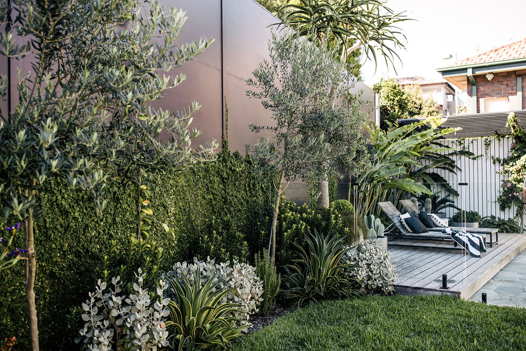 Plants That Love Full Sun: A Guide for Sun-Drenched Gardens  The Balcony  Garden
