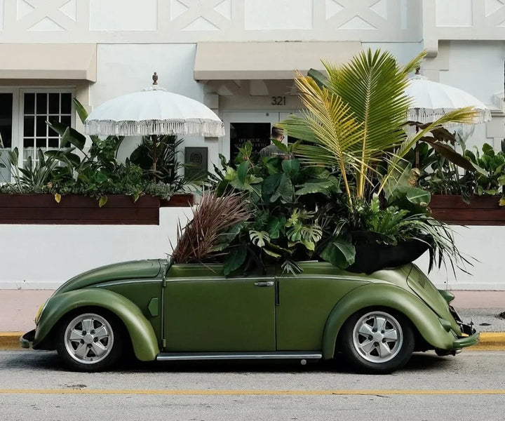 ☼ CURATED Vol. 2 ☼