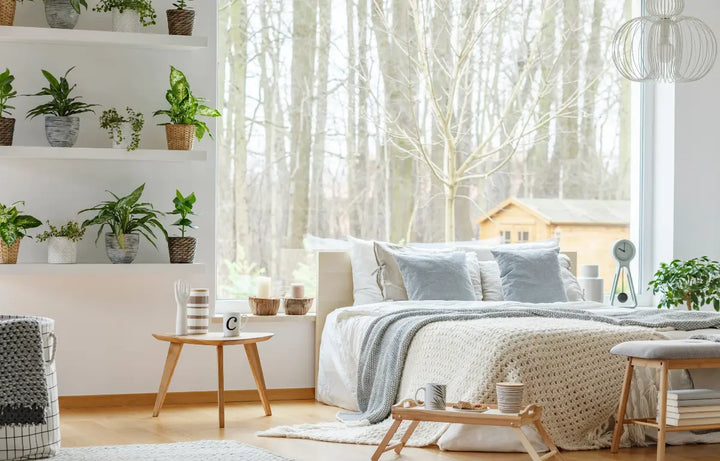 Bedroom Plant Styling Ideas: Bring Nature Into Your Space