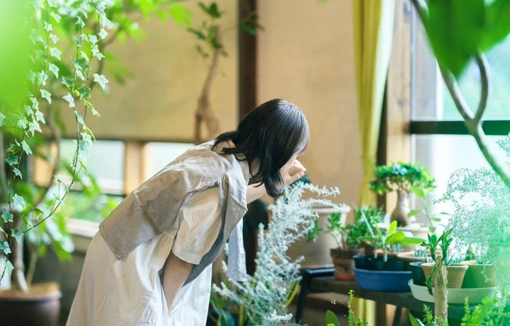 Wellness Benefits of Indoor Plants