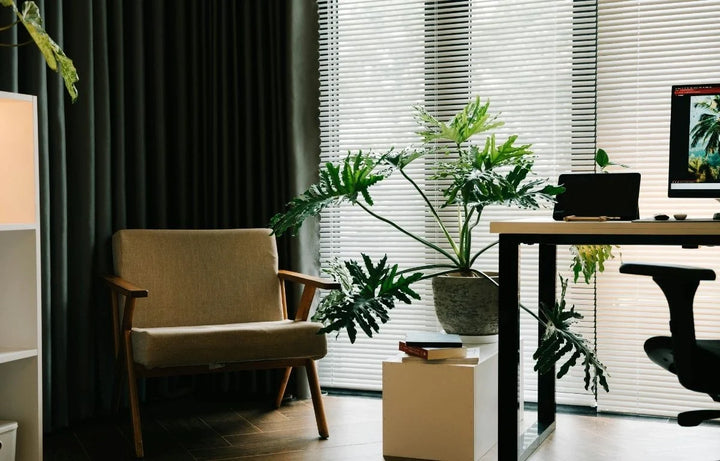 How to Decorate with Plants Without Cluttering Your Home