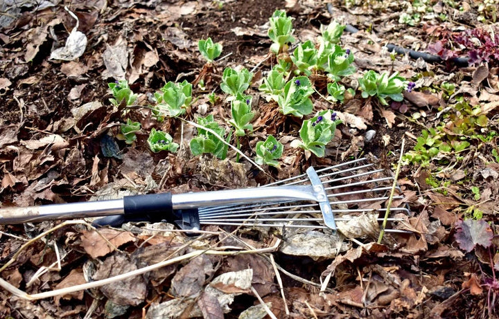Spring Gardening Checklist