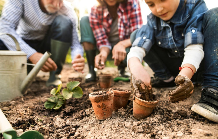 Autumn Garden Care: Preparing for Winter Without Overdoing It