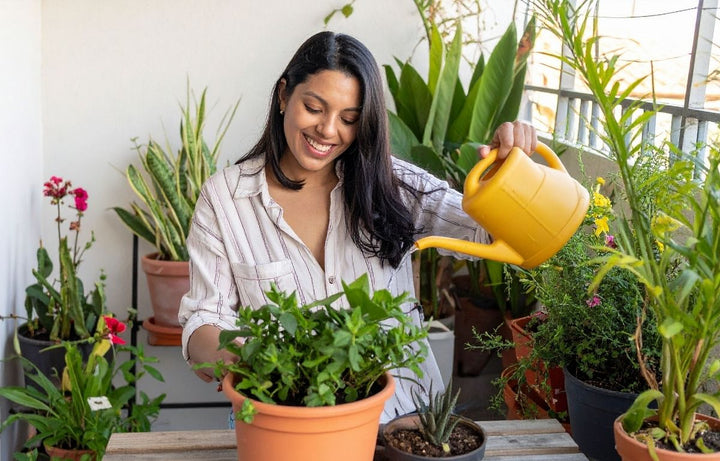 Top 10 Low-Maintenance Balcony Plants (Easy-Care Guide for Any Climate)