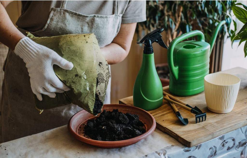 The Importance of Choosing the Right Potting Soil for Your Houseplants