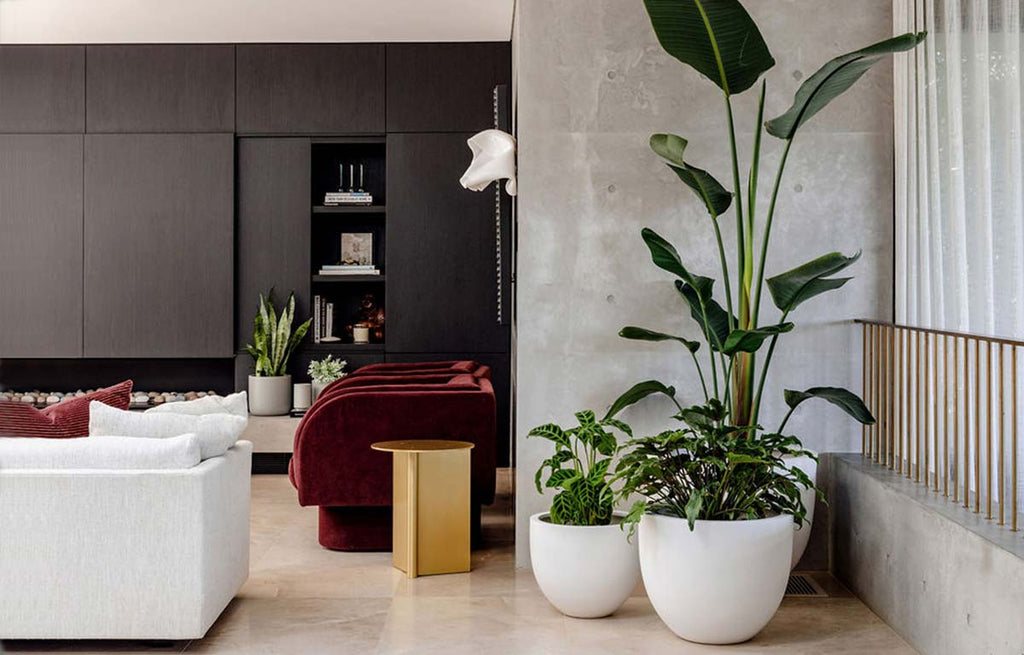How to create the perfect three pot cluster