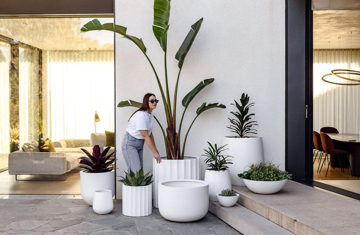 Woman arranging modern white planters with tropical plants in a contemporary outdoor living space
