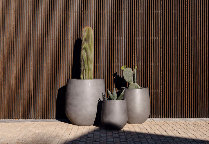 Modern outdoor garden pots with tall and small cacti against a wooden wall in sunlight