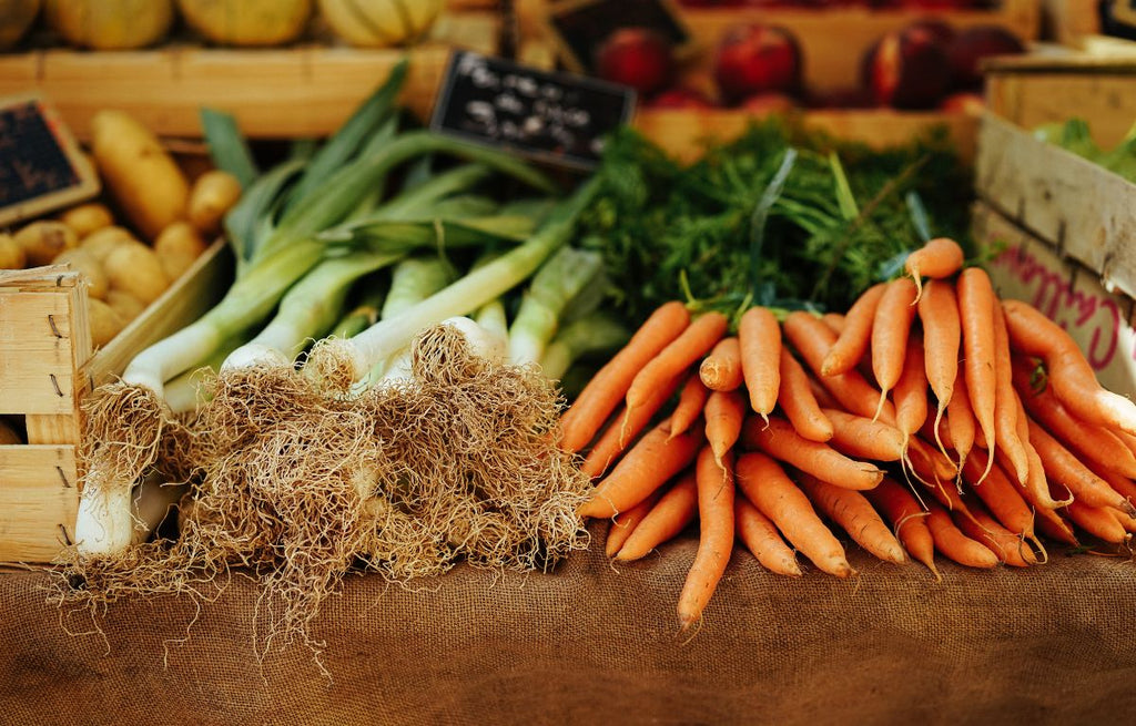 The Thrifty Gardener: Regrow Your Veggies from Scratch