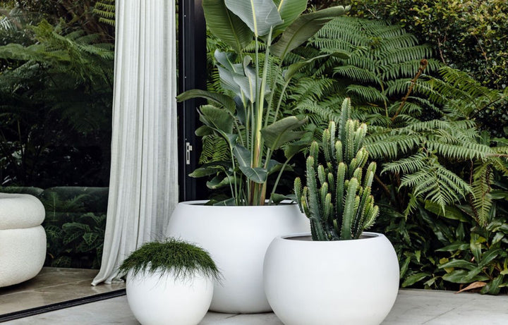 Designing the Perfect Three-Pot Cluster