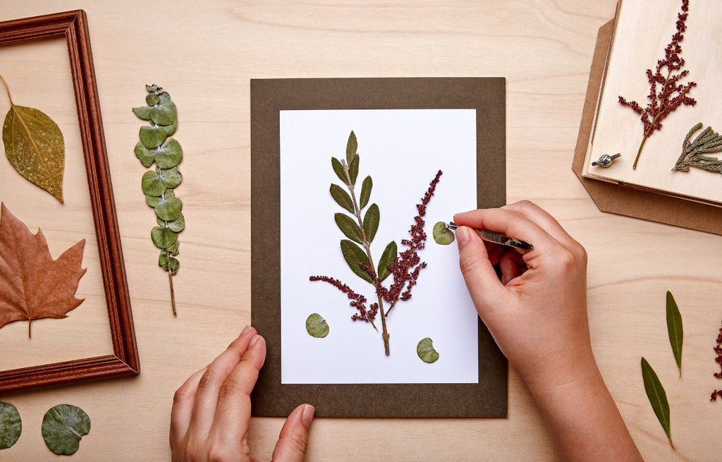 Pressed preserved plants and flower artwork