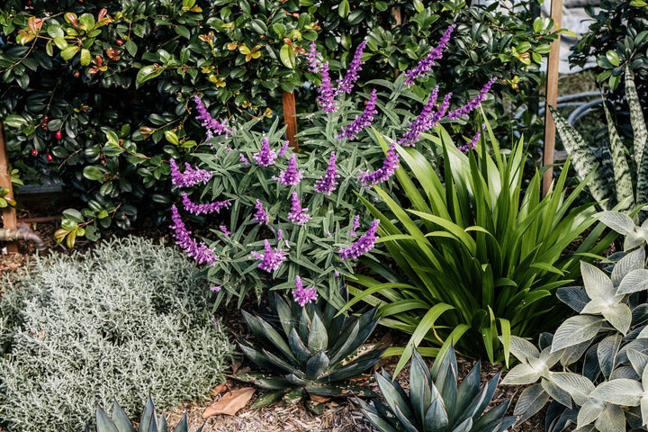 The Psychology of Colour