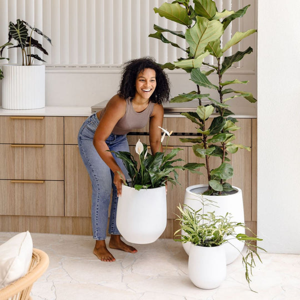 plant pots au Lucy Garden Pot – The Balcony Garden