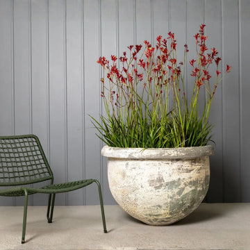 thai plant pots Dijon Thai Planter – The Balcony Garden