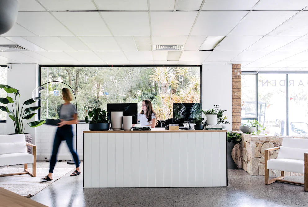 Stylish office interior featuring The Balcony Garden planters on desks and shelves, adding a touch of greenery to the bright workspace with large windows overlooking lush outdoors