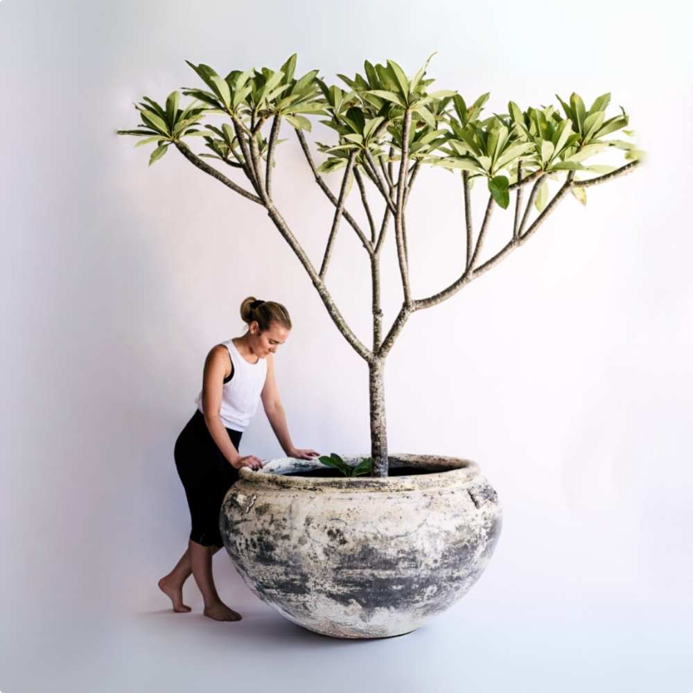 Designed by a landscaper