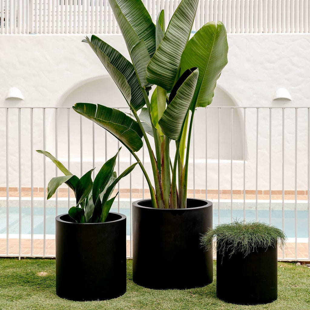 The Balcony Garden designer planters
